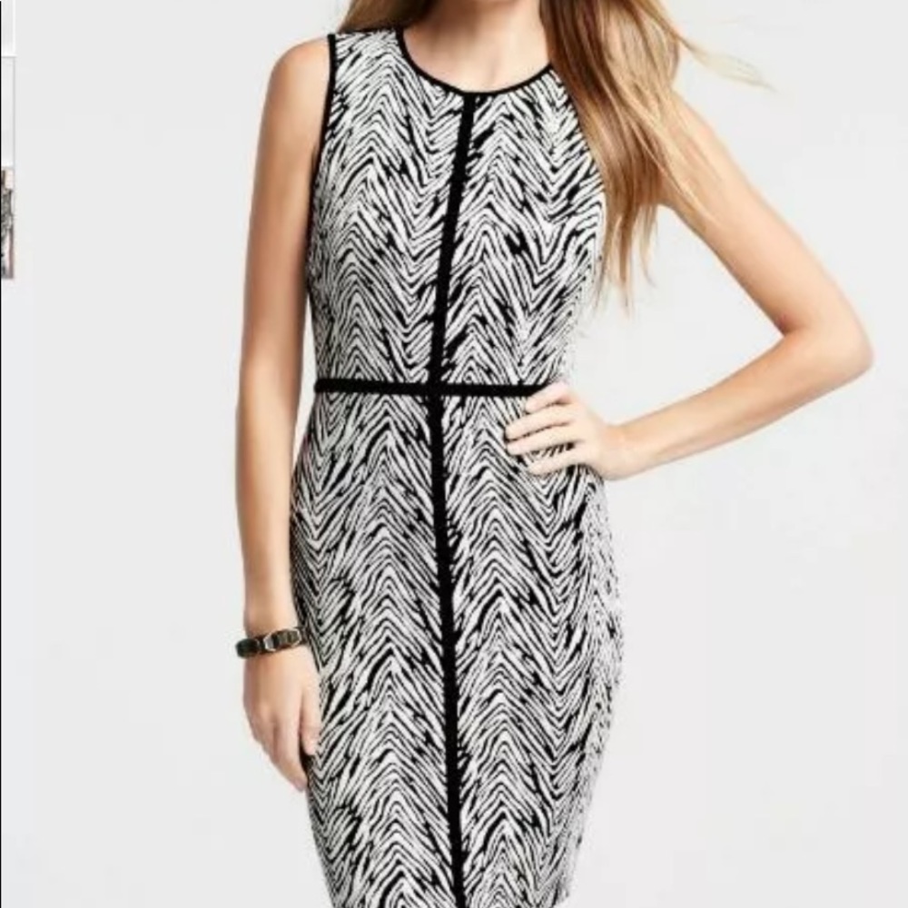 Ann Taylor Zebra Pint Sheath Dress, Size: 0